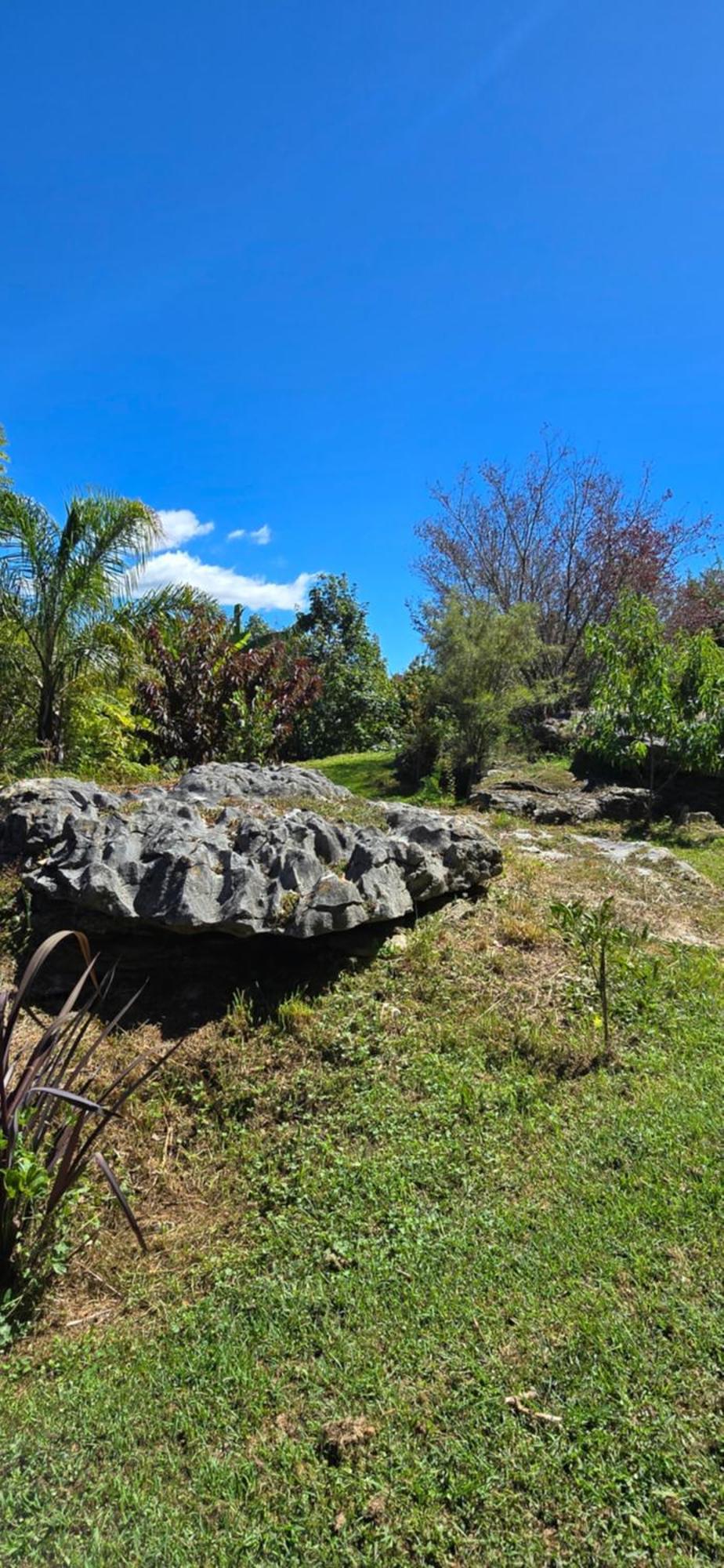 The Rocks Chalets Takaka Exterior foto